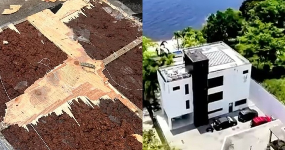 Polícia apreende 56 kg de cocaína negra em mansão de empresária