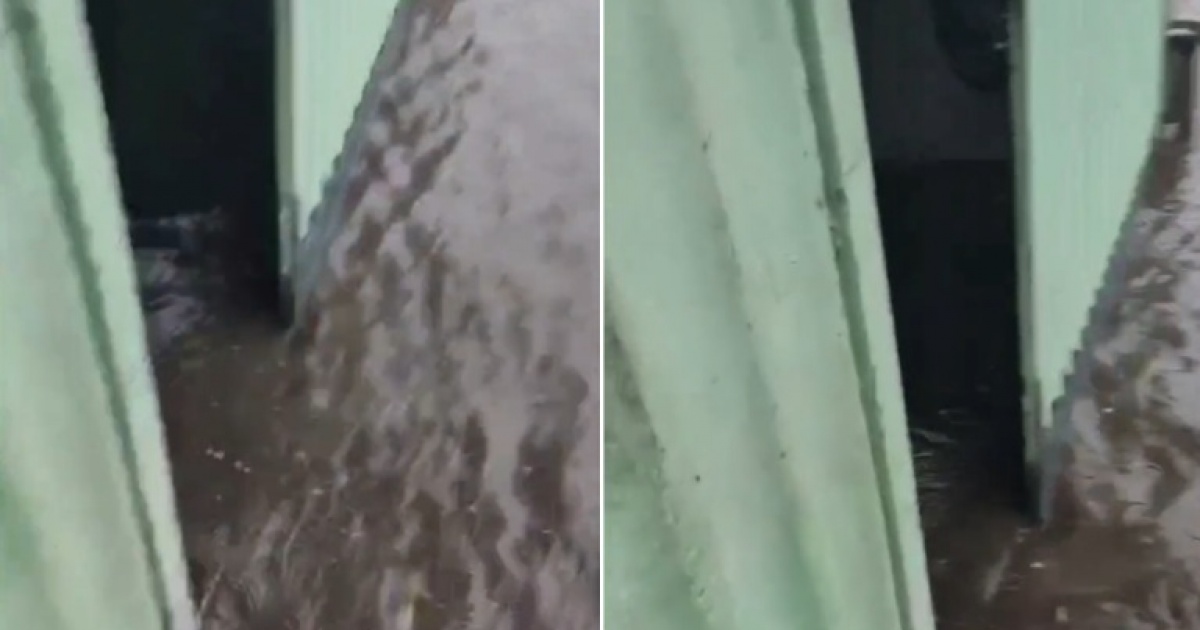 Gandu: chuva forte provoca alagamentos e desespero de moradora