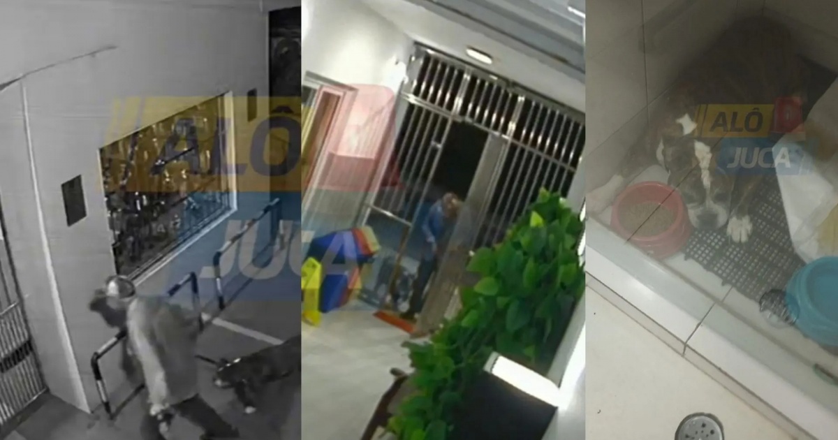 Homem abandona cachorro em clínica veterinária em Salvador