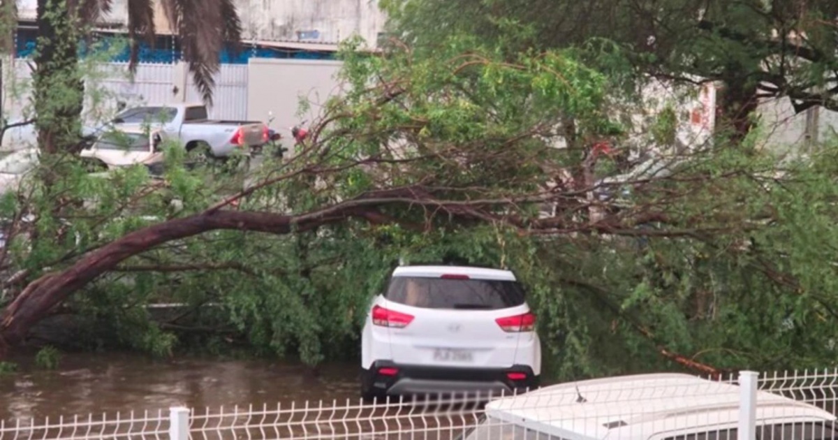 Guanambi: tempestade causa 60 mm de chuva em 30 minutos