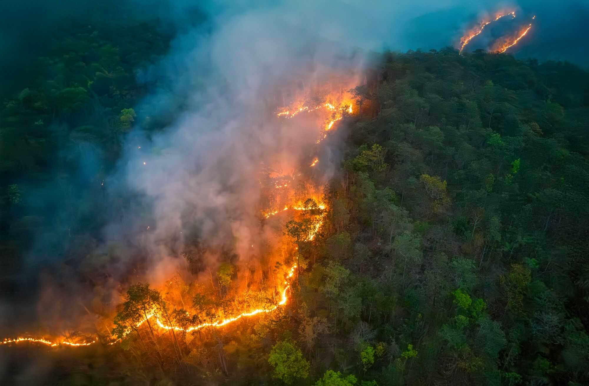 Incêndios em unidades de conservação caem para o segundo menor nível